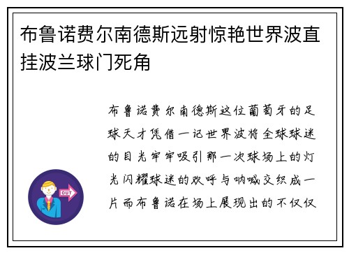 布鲁诺费尔南德斯远射惊艳世界波直挂波兰球门死角 布鲁诺费尔南德斯远射惊艳世界波直挂波兰球门死角